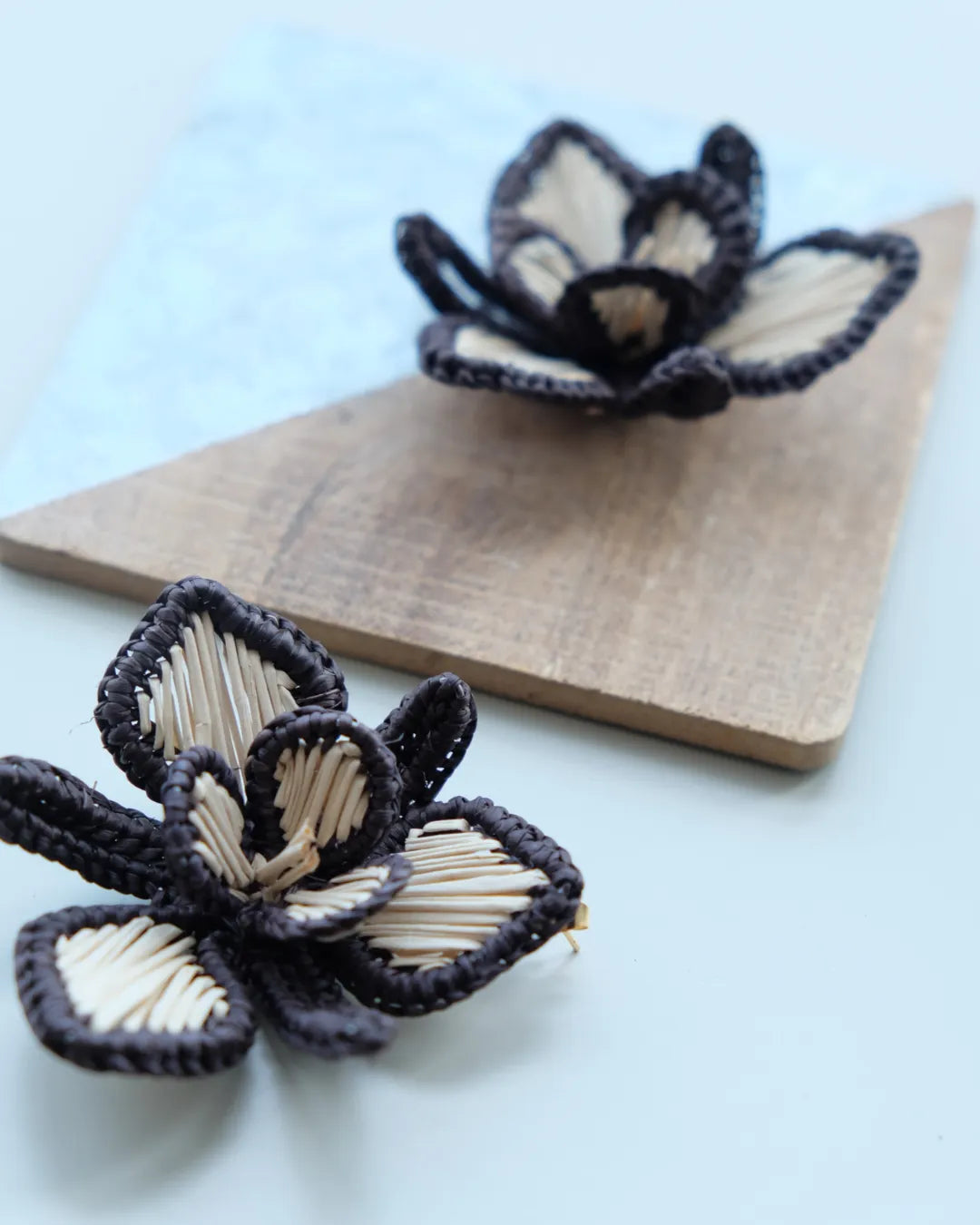 Aros Orquídea | Negro y Natural